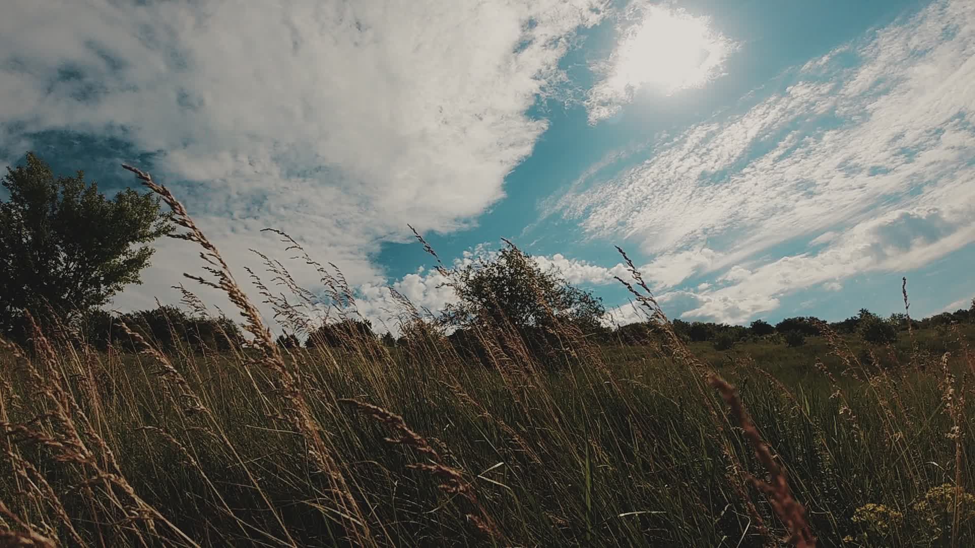 Video by Ruslan Sikunov
