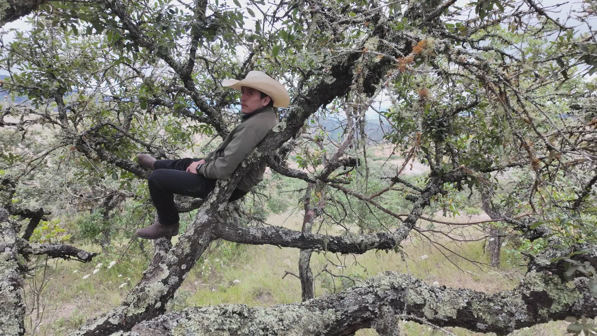 Man Relaxing in Tree with Cowboy Hat Outdoors Free Stock Video Footage ...