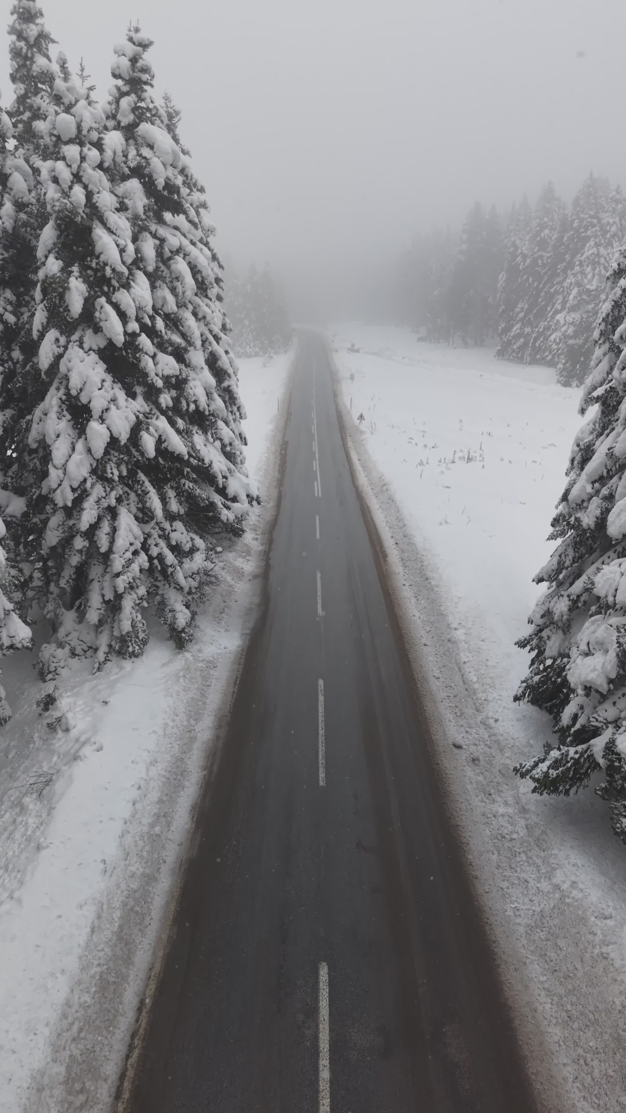 Aerial View of Snowy Road Through Winter Forest Free Stock Video ...