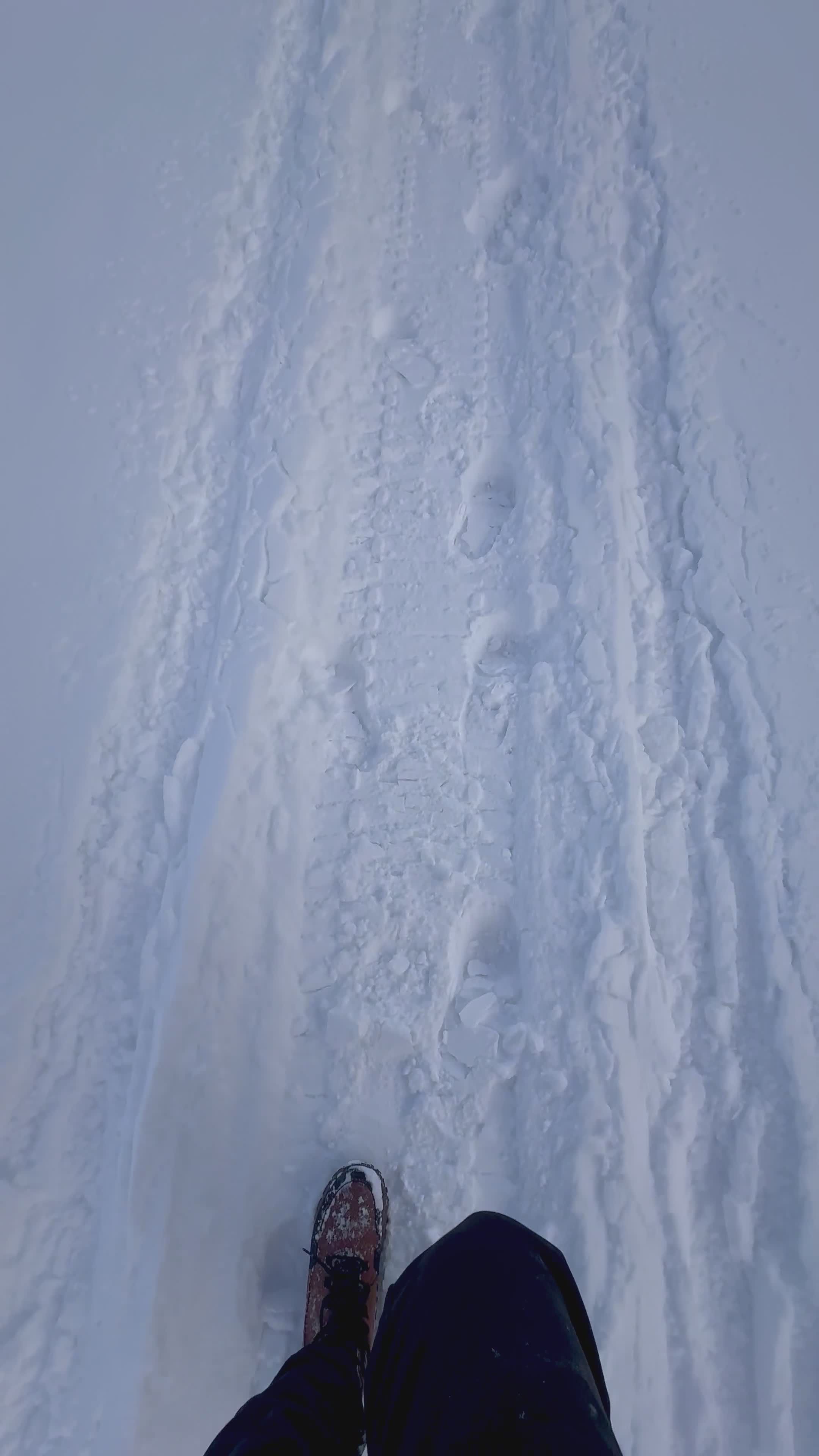 Winter Walk in Fresh Snow Trail Free Stock Video Footage, Royalty-Free ...