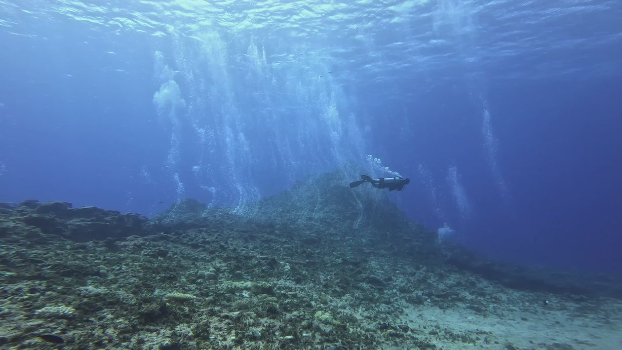 Breathtaking Underwater Adventure Dive Free Stock Video Footage ...