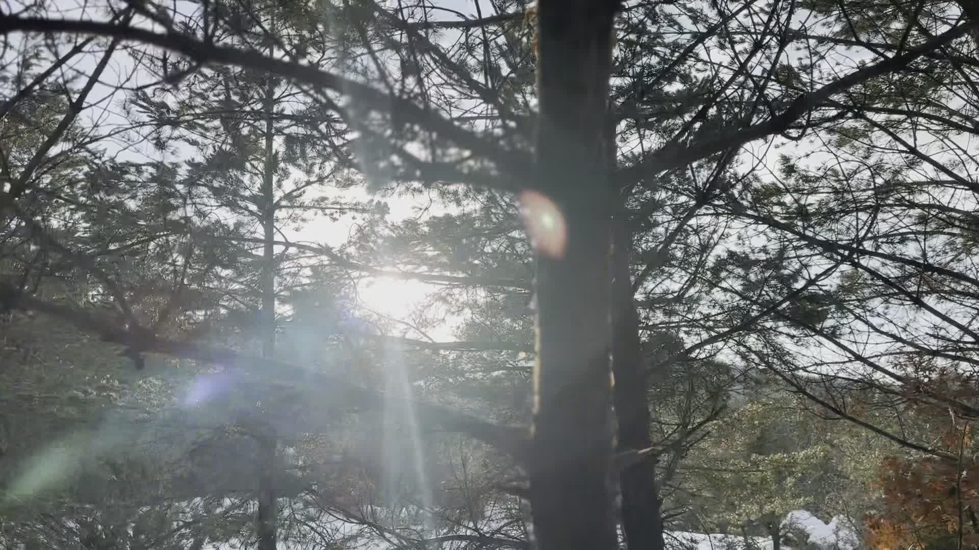 Video by Zmaysq