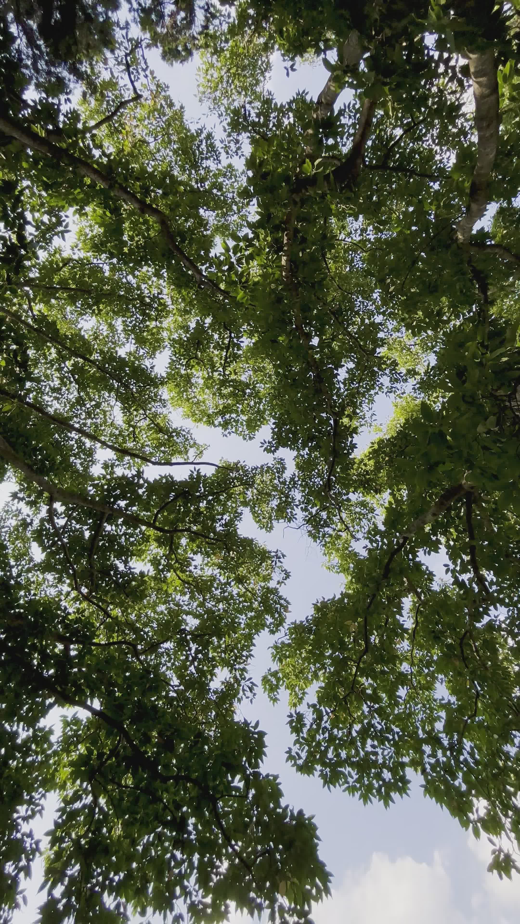 Video by Raaj Ugar