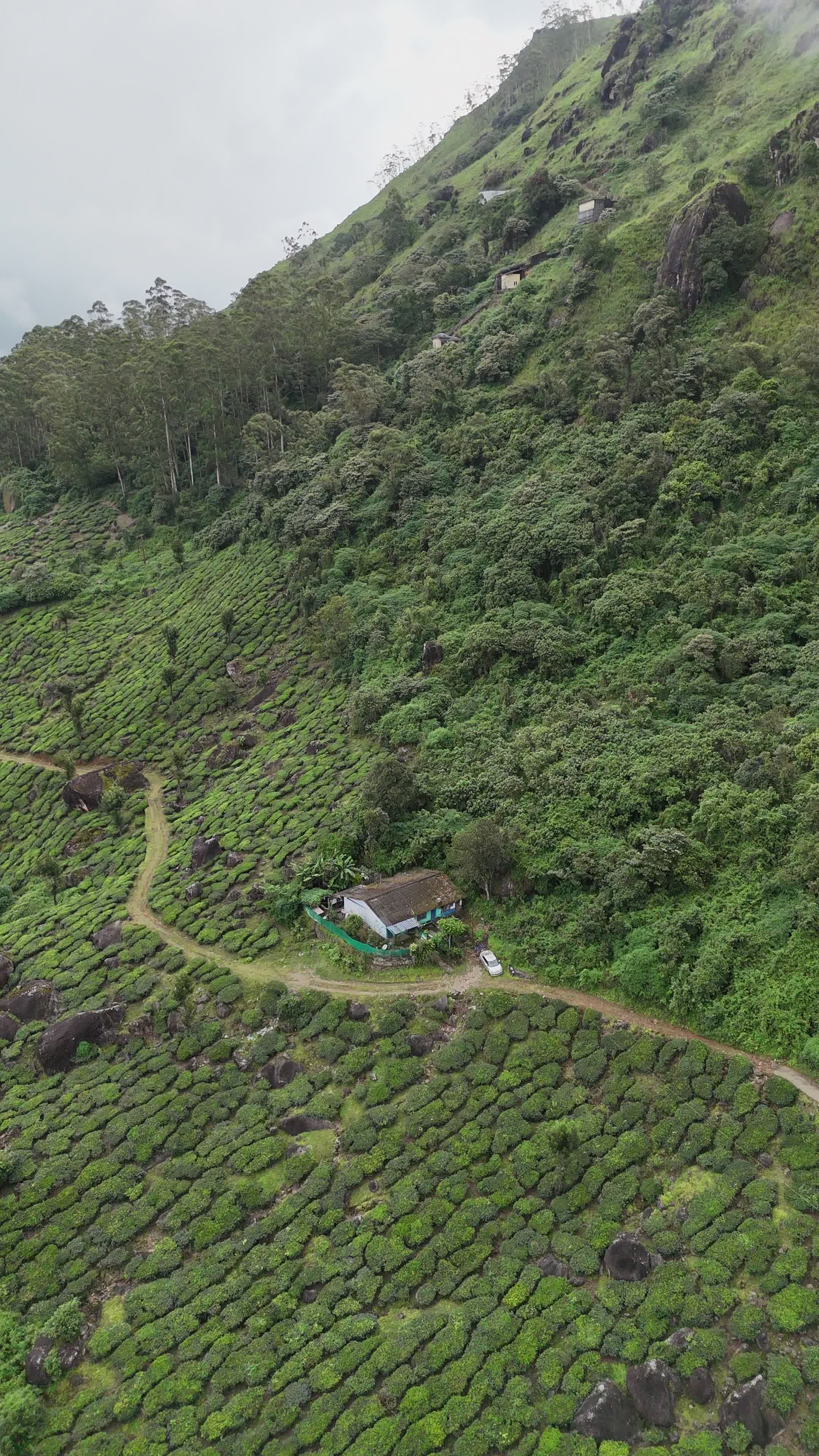 Aerial View of Lush Green Mountain Pathway Free Stock Video Footage ...