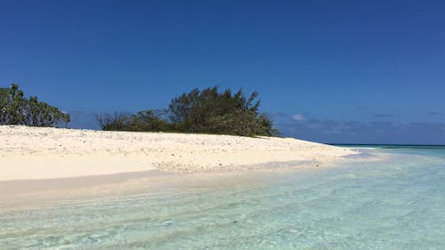 A Pristine White Beach On A Pacific Island