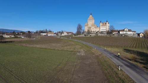 Drone Footage Of A Vineyard Surrounding A Castle