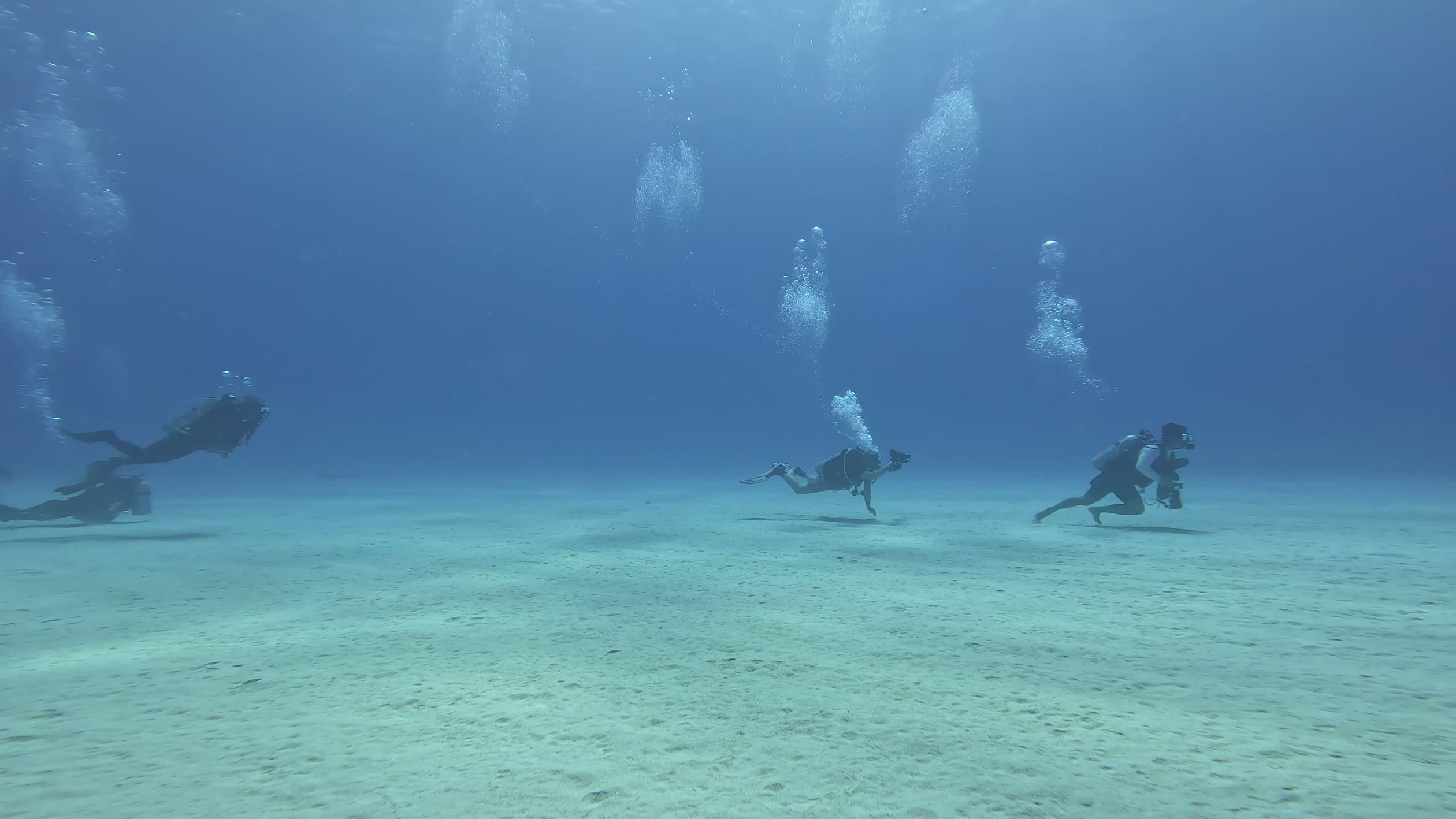 Scuba Divers Exploring Underwater Serenity Free Stock Video Footage ...