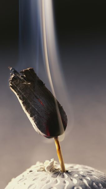 龙骨灸视频素材