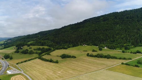 Natuurlijk Landschap Van Graslanden Aan De Voet Van Een Bergbos