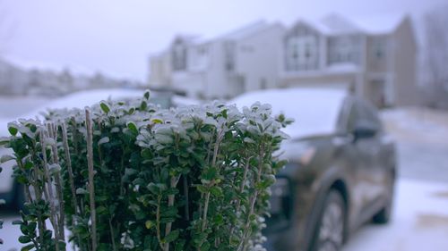 Cold Climate Videos, Download The BEST Free 4k Stock Video Footage ...