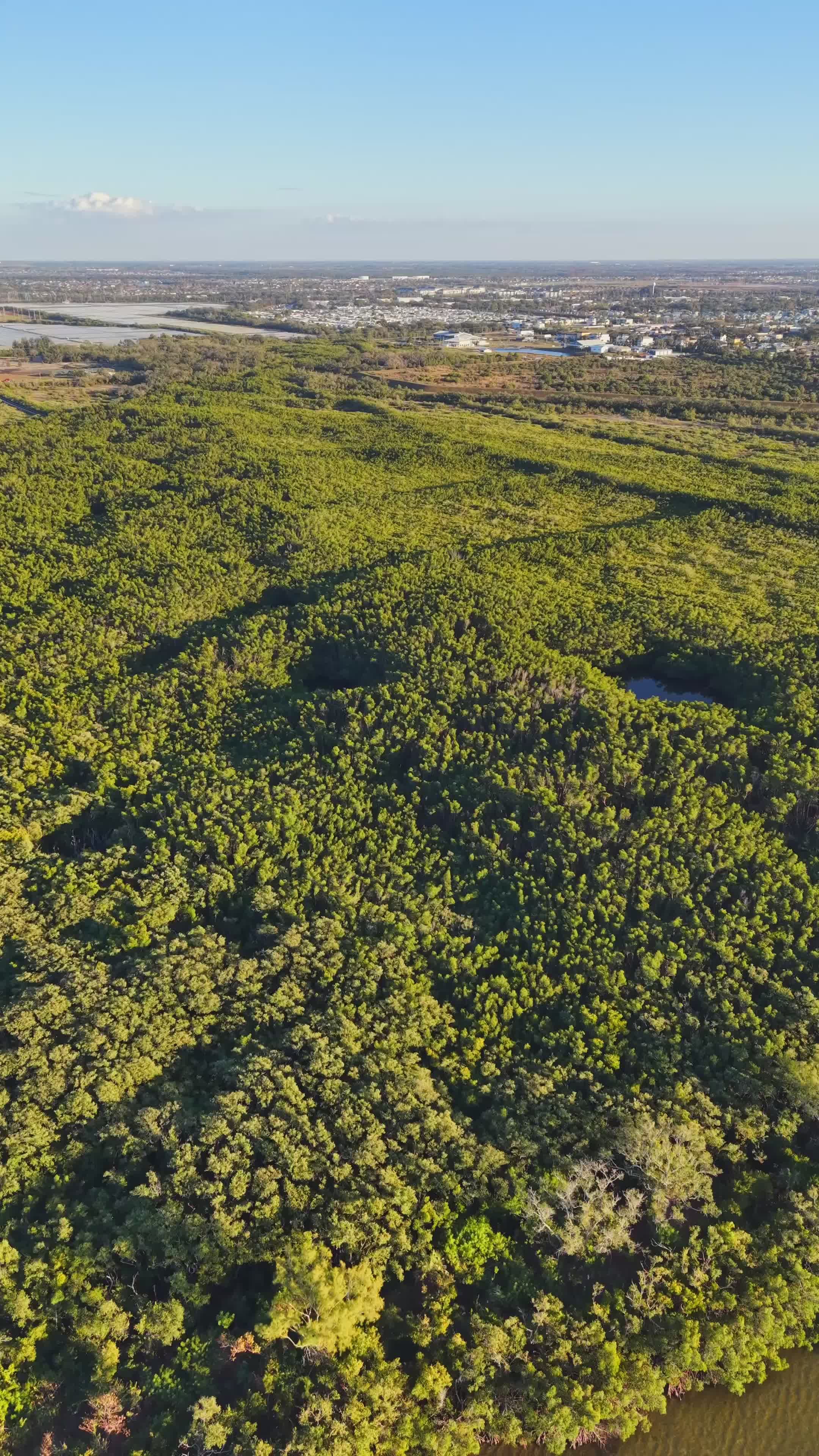 Scenic Aerial View of Lush Green Forest Landscape Free Stock Video ...