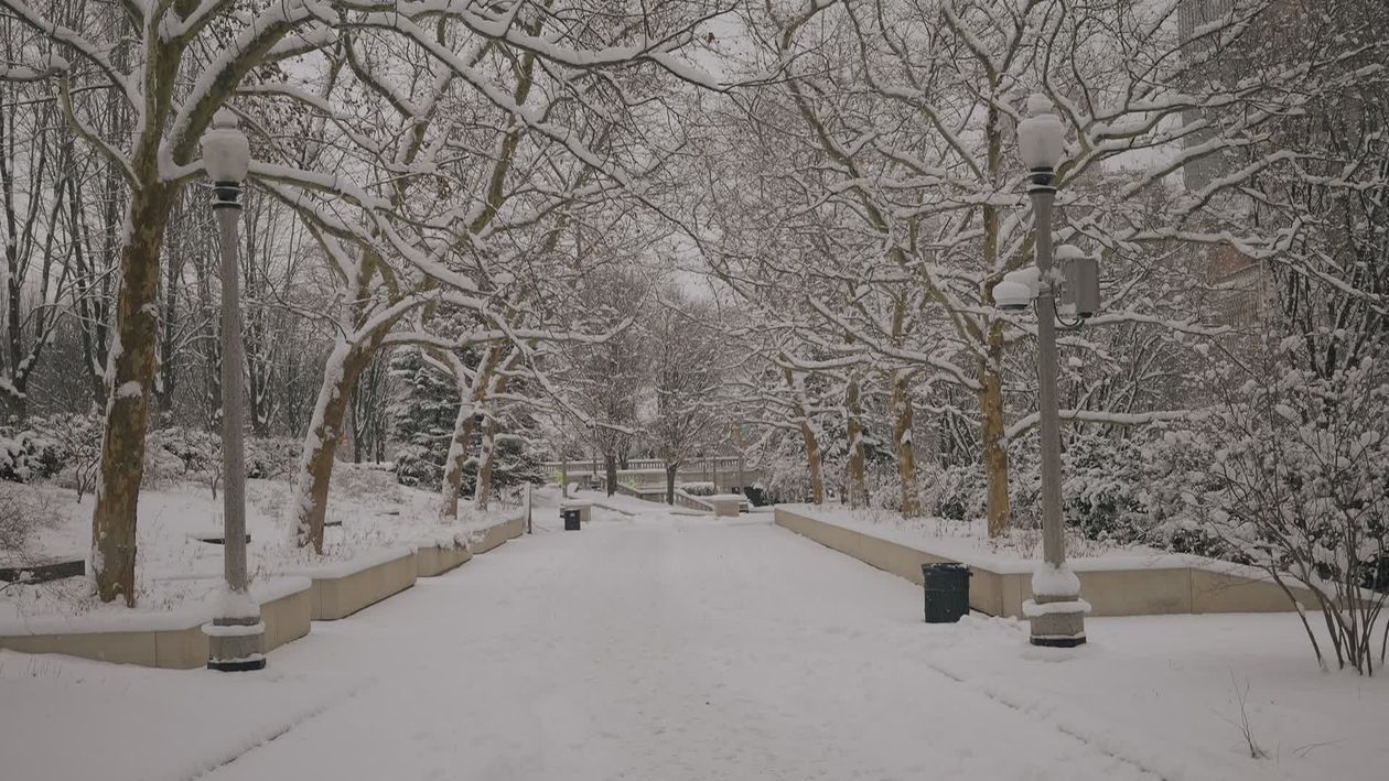 Winter Wonderland Pathway in Snowy Park Free Stock Video Footage ...