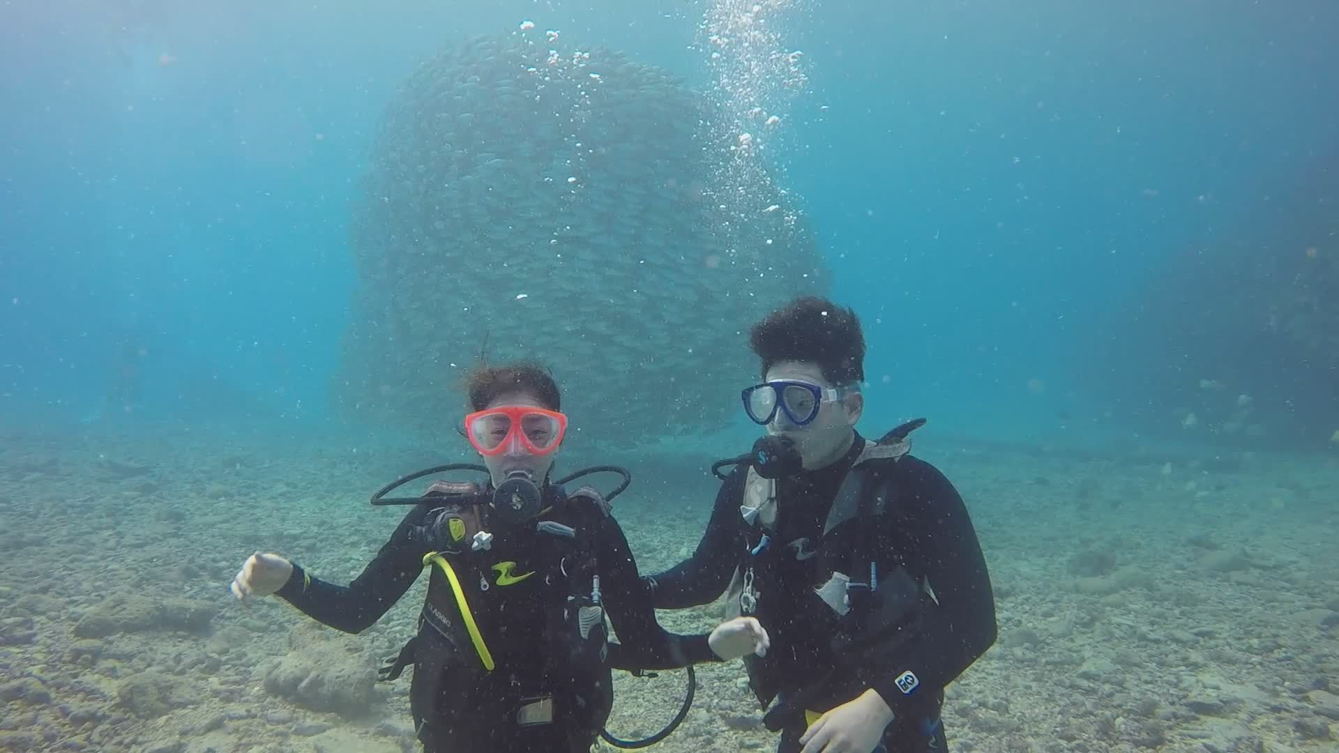 Scuba Divers Exploring Vibrant Underwater World Free Stock Video ...