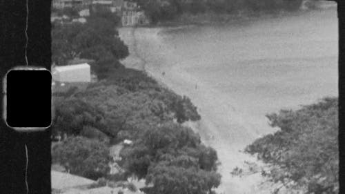 Vintage Video of a Beach In New Zealand