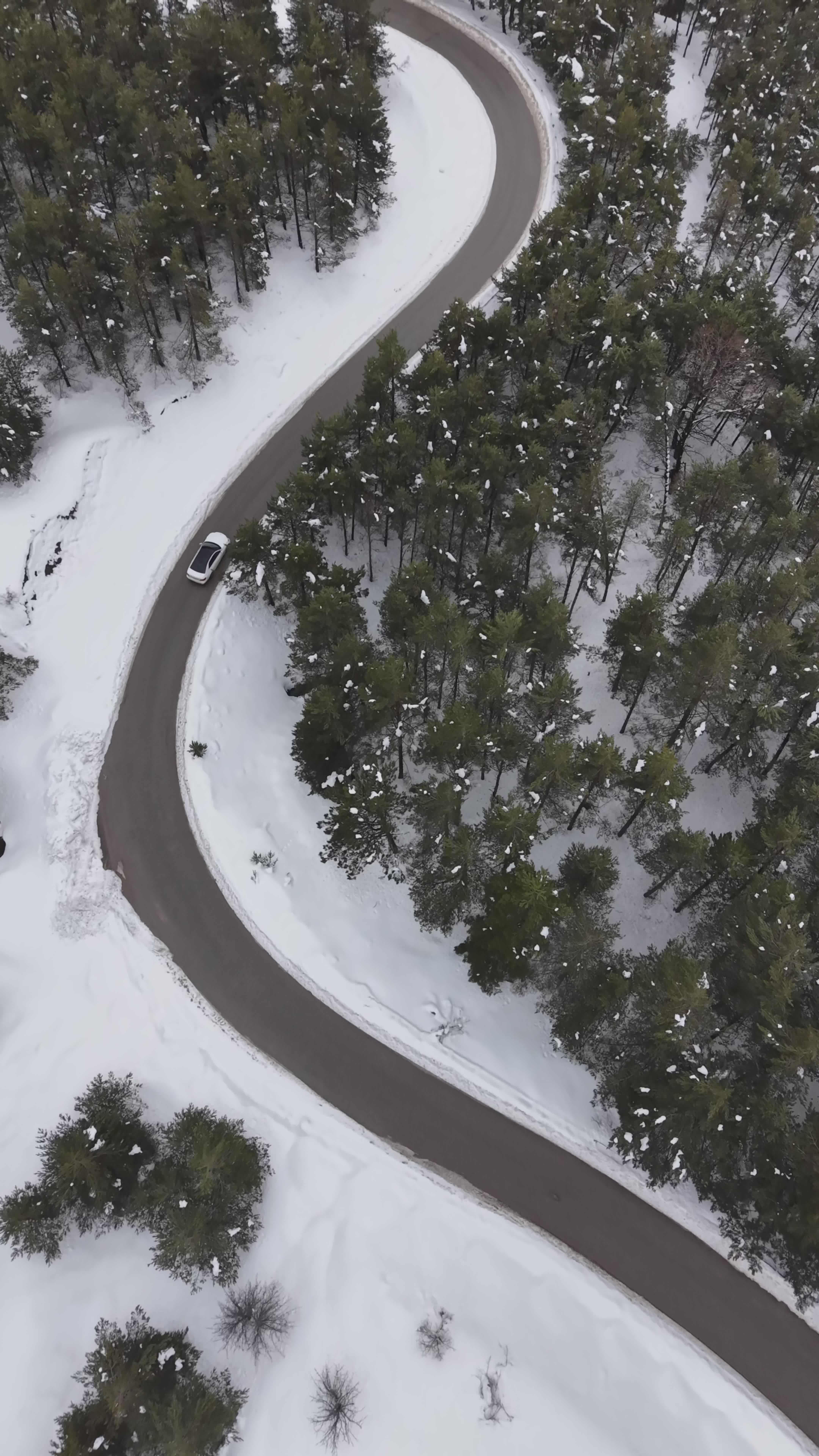 Serene Aerial View of Snowy Forest Road Free Stock Video Footage ...