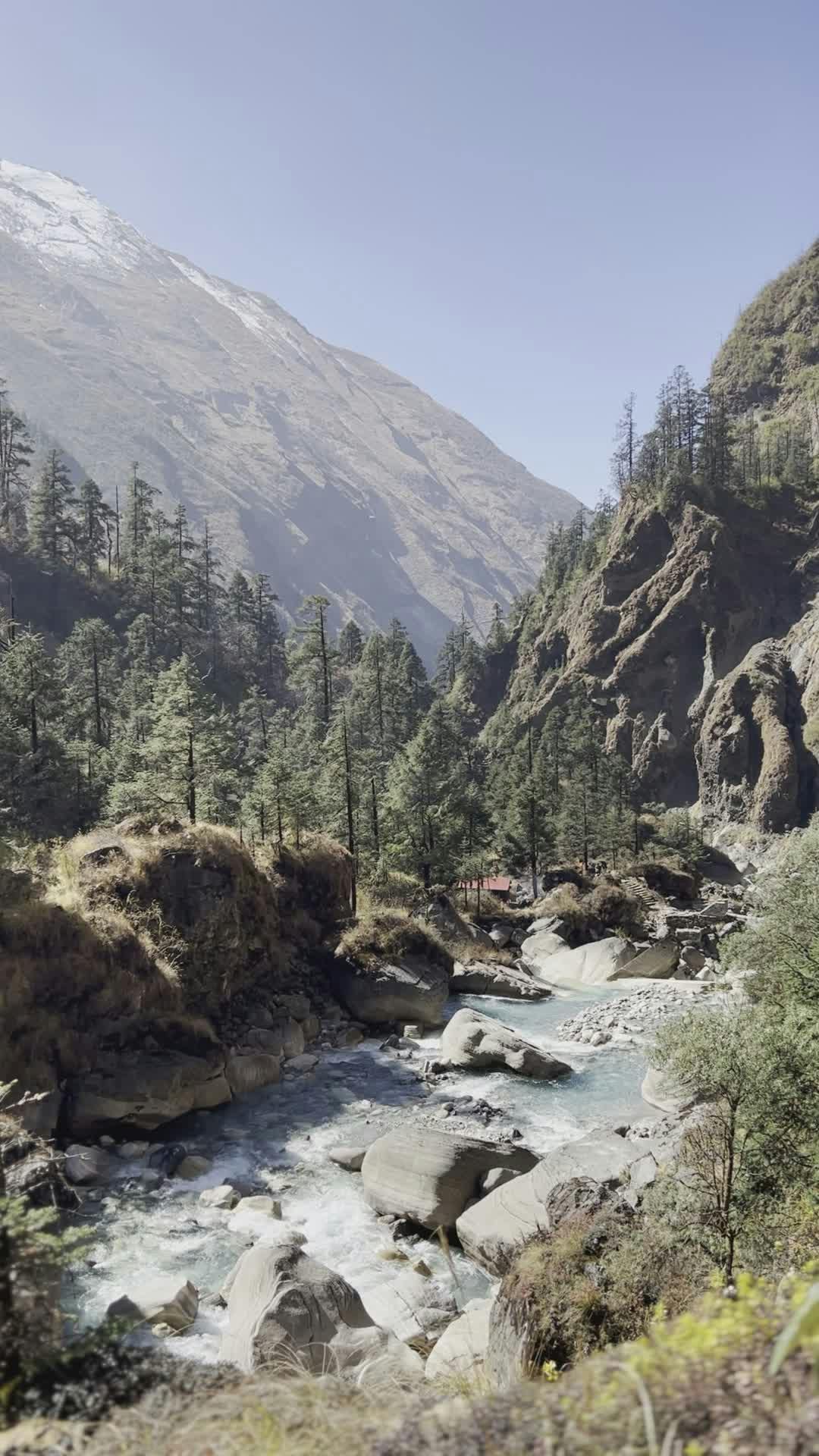 Video by Yubaraj stha