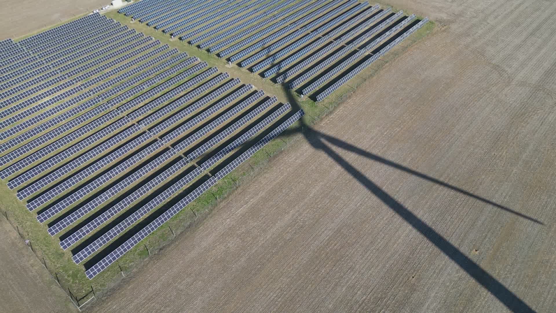 Video by Giant Asparagus