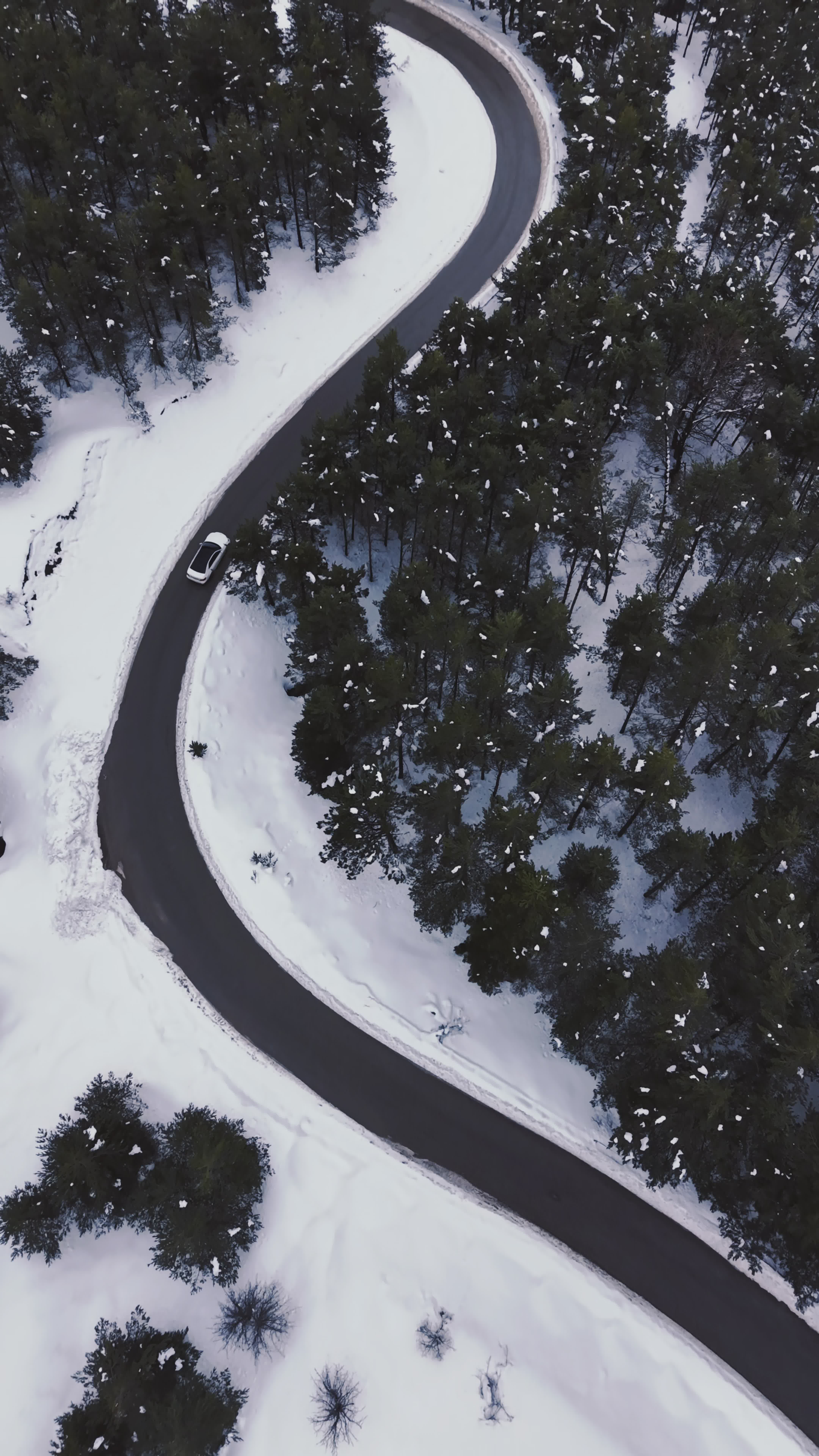 Scenic Aerial View of Snowy Forest Road Free Stock Video Footage ...