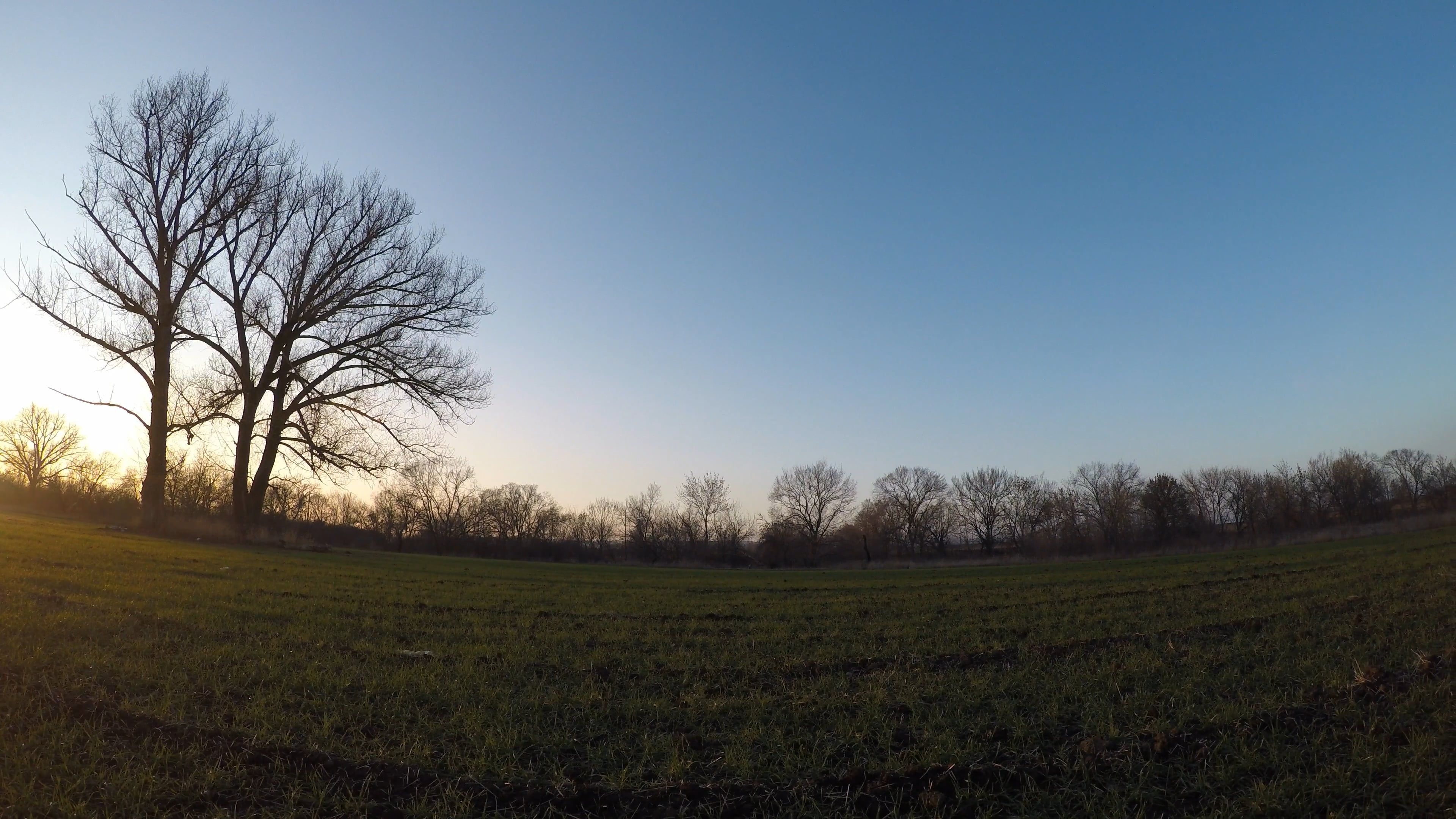 Scenic Forest View At Sunrise Free Stock Video Footage, Royalty-Free 4K ...