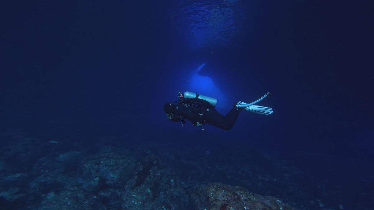 Deep Sea Diving Adventure in Blue Waters Free Stock Video Footage ...