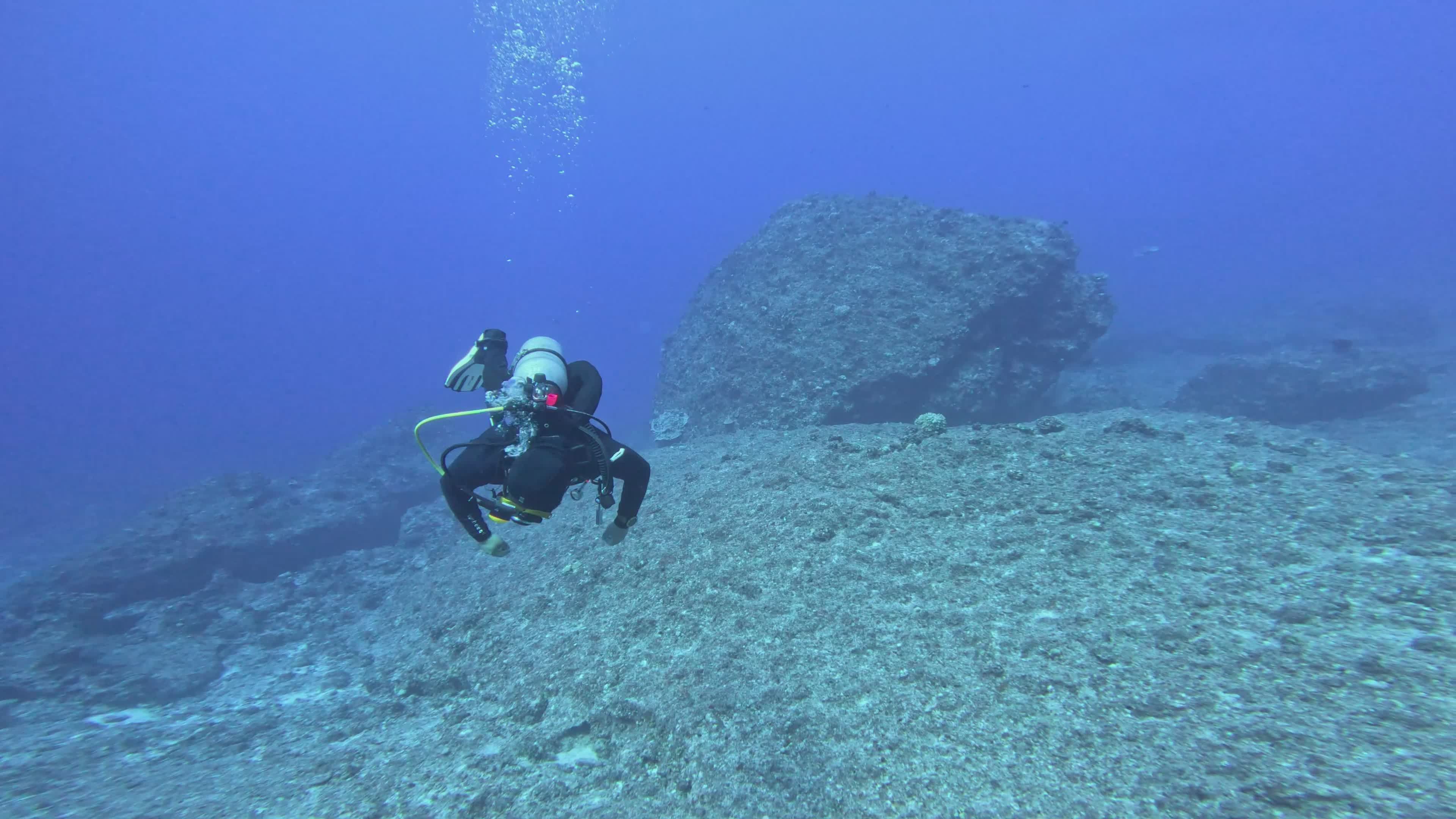 Scuba Diver Exploring a Vibrant Coral Reef Free Stock Video Footage ...