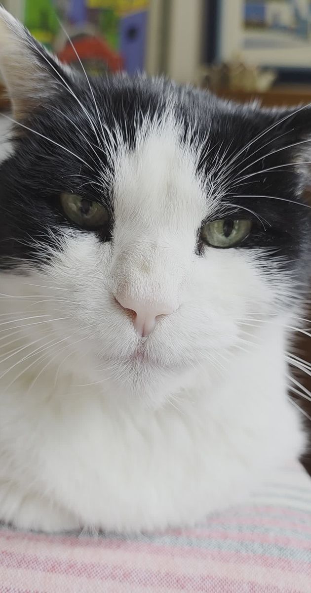 Pexels Video 35936117