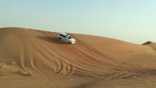 사막 드라이브에 두 대의 차량