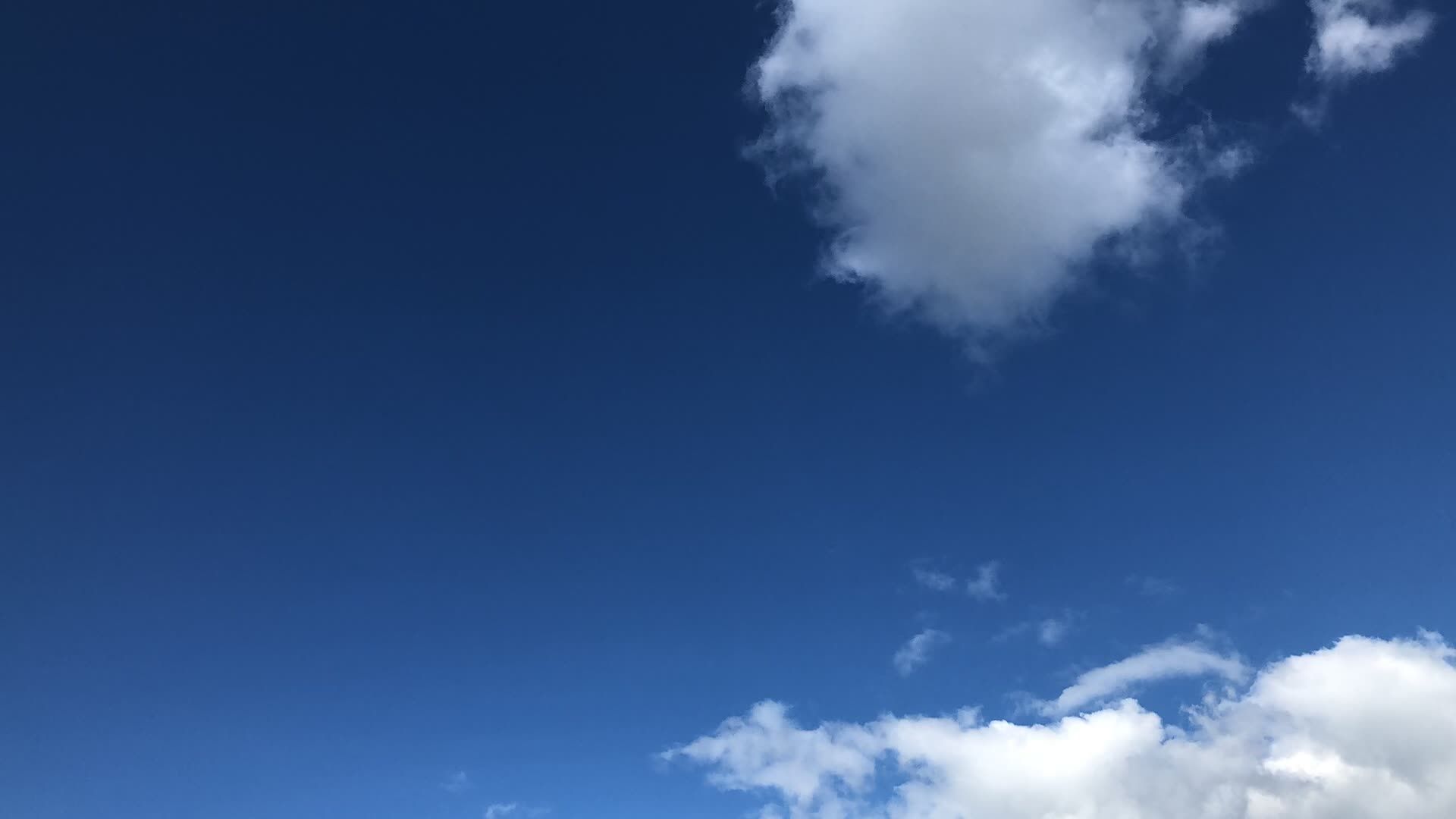Video by Henry Kim