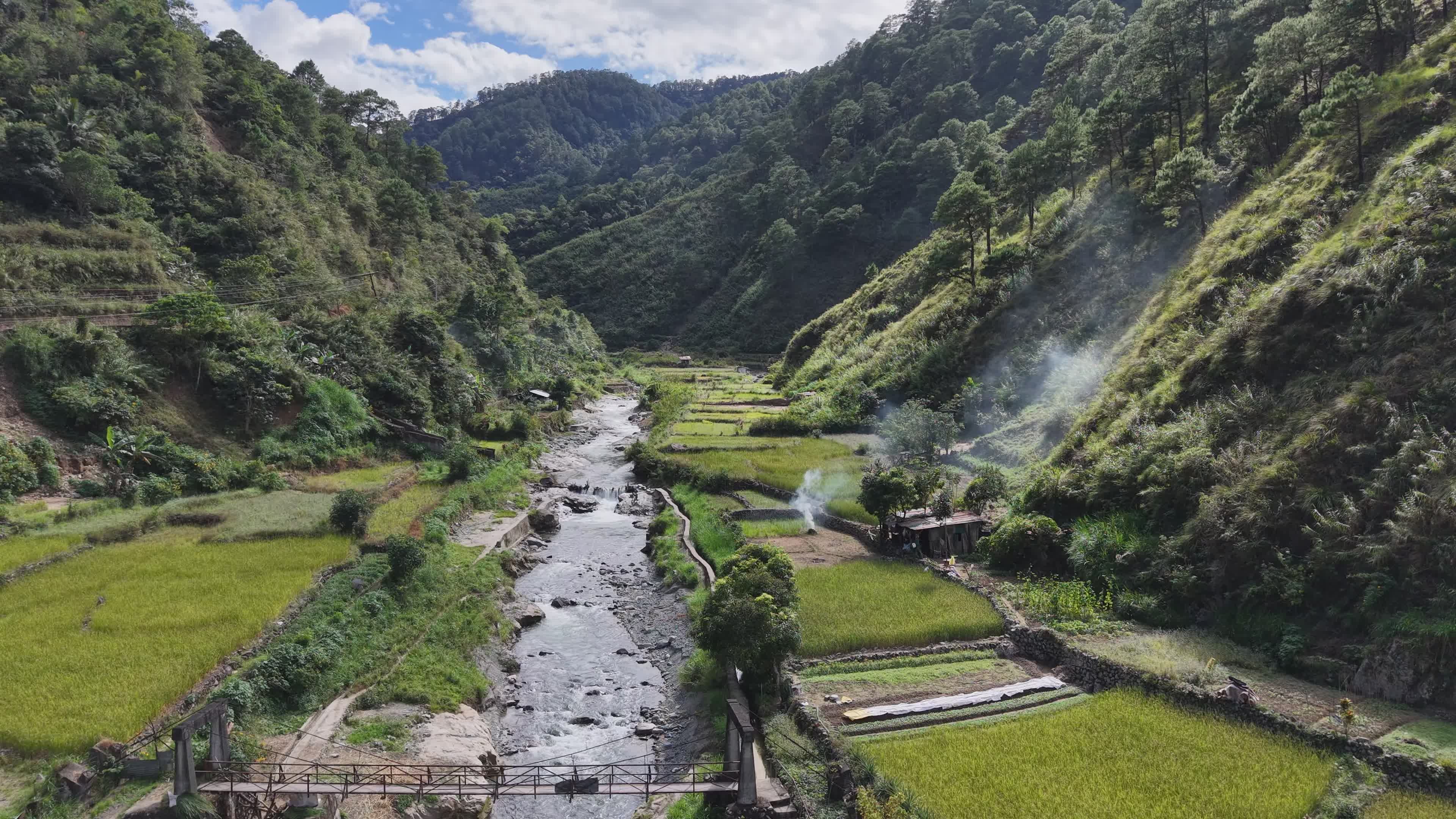 Aerial View of Lush Philippine Rice Terraces Free Stock Video Footage ...