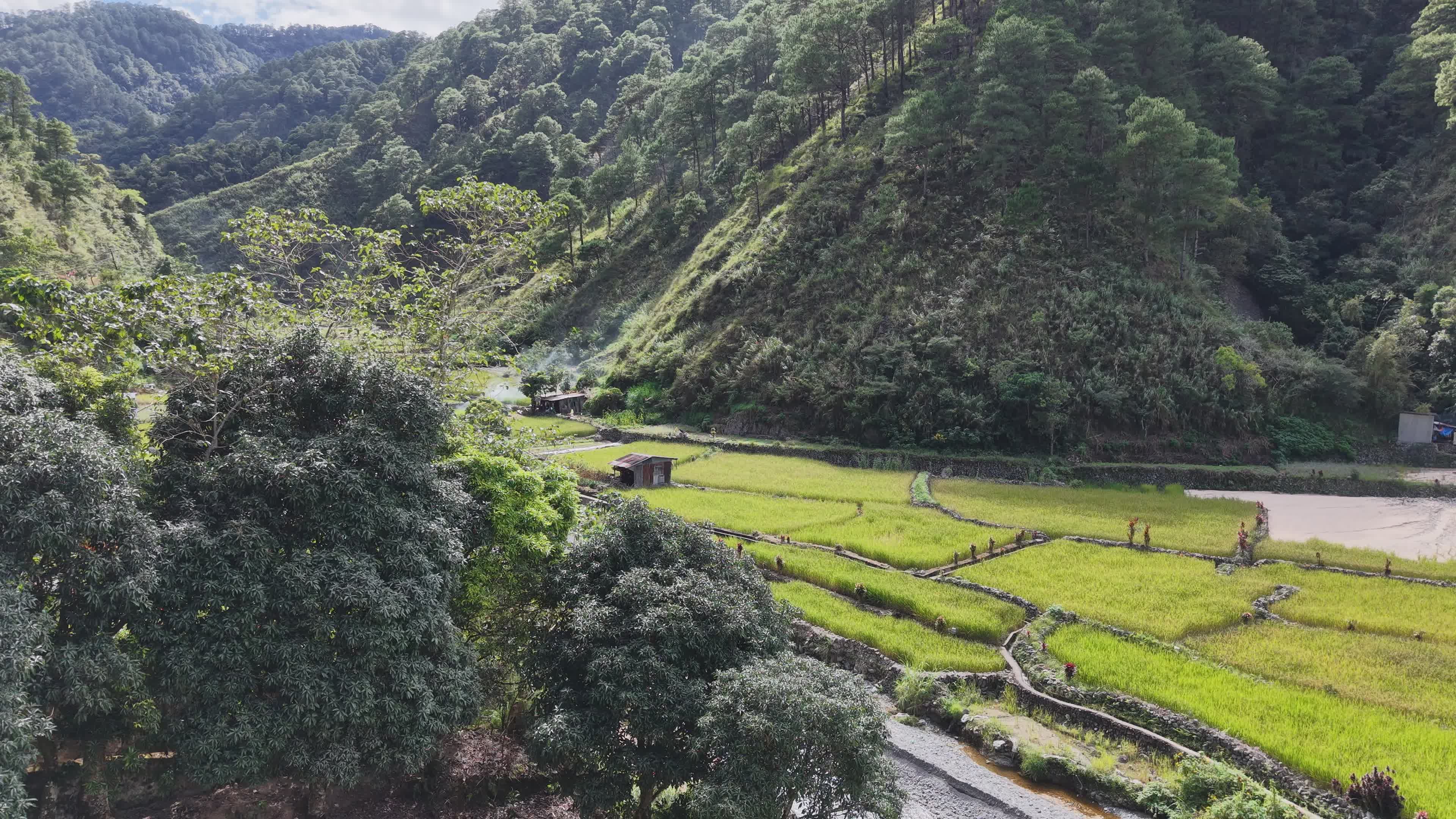 Drone View of Lush Rice Terraces in the Philippines Free Stock Video ...