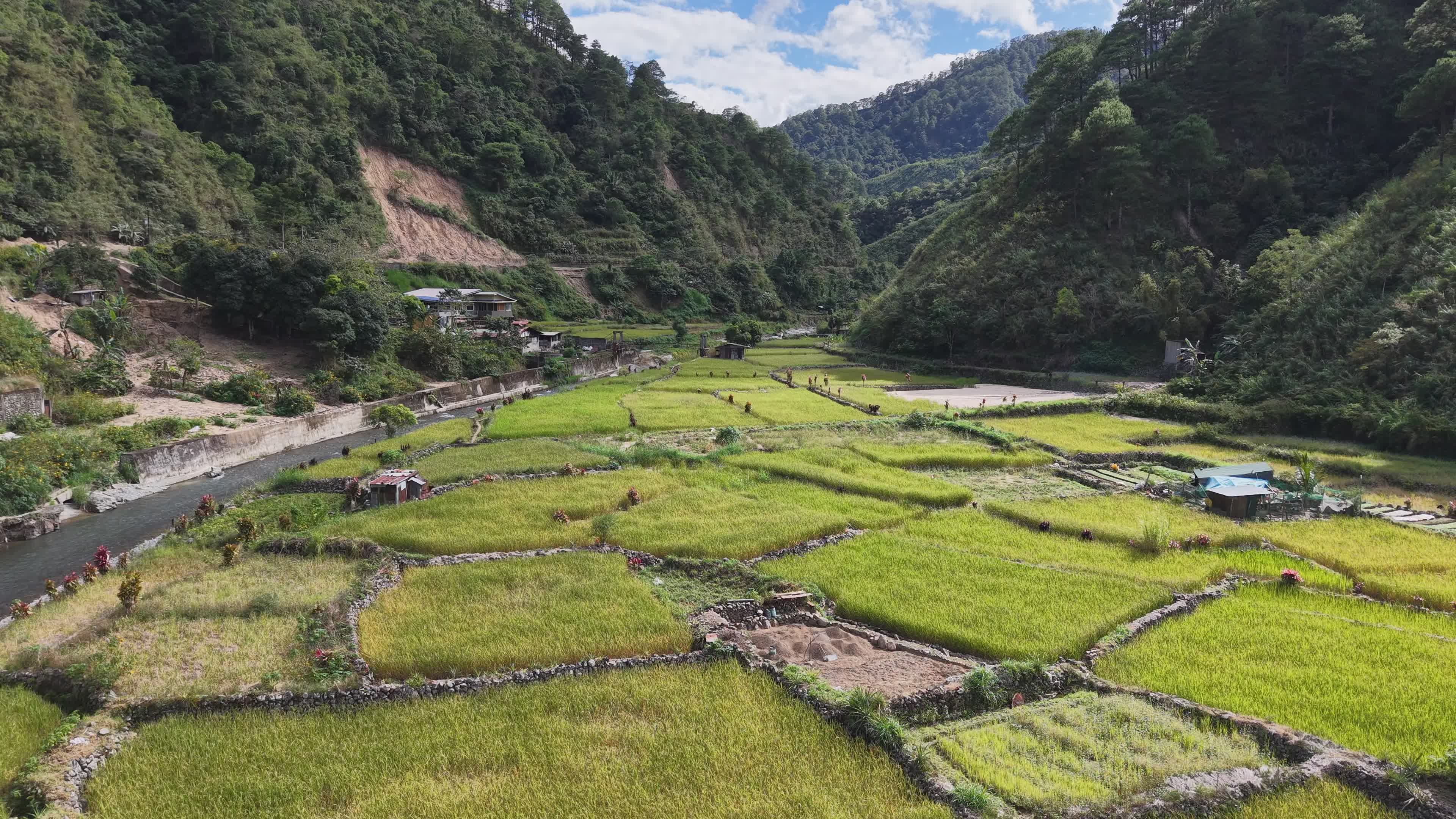 Stunning Rice Terraces in Philippine Highlands Free Stock Video Footage ...