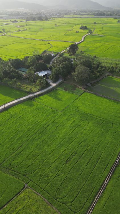 Aerial View of Lush Green Vietnamese Countryside Free Stock Video ...