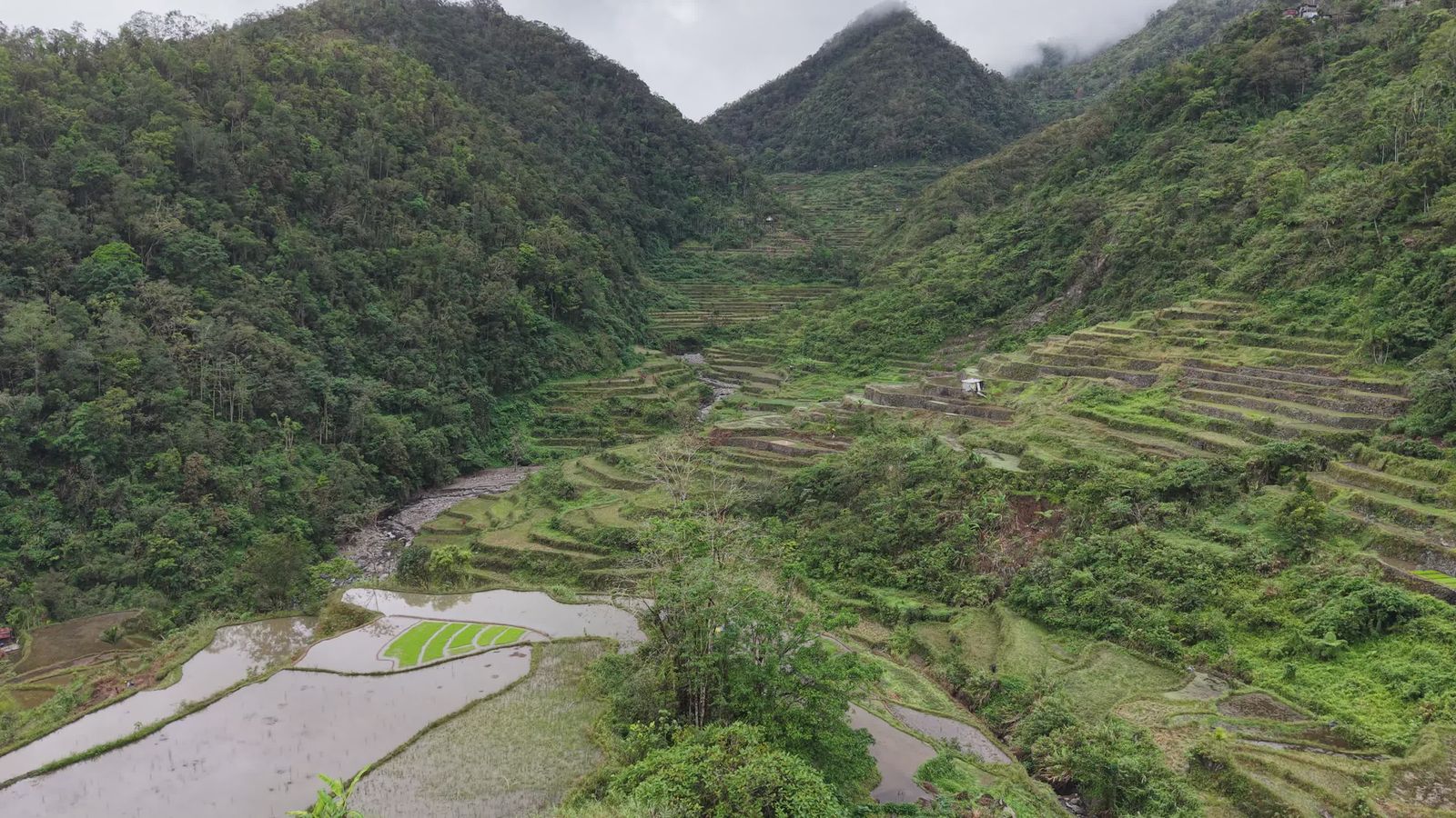 Scenic View of Banaue Rice Terraces and Village Free Stock Video ...