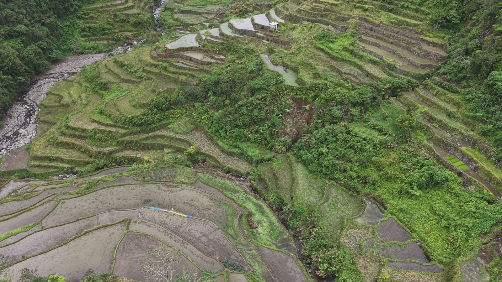 Banaue Rice Terraces: A Scenic Aerial View Free Stock Video Footage ...