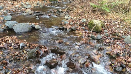 A Creek Flowing Through Bed Of Rocks 