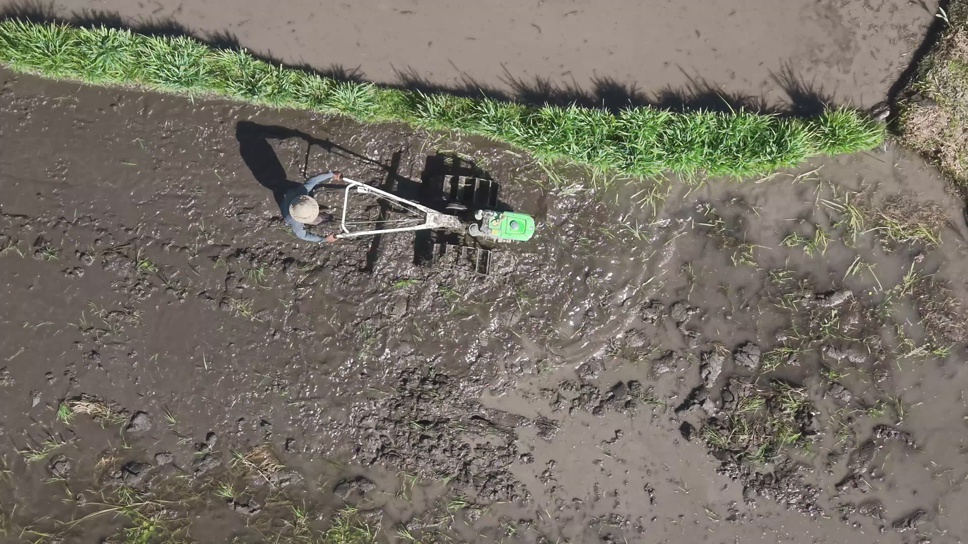 Drone View of Farmer Tilling Wet Rice Field Free Stock Video Footage ...