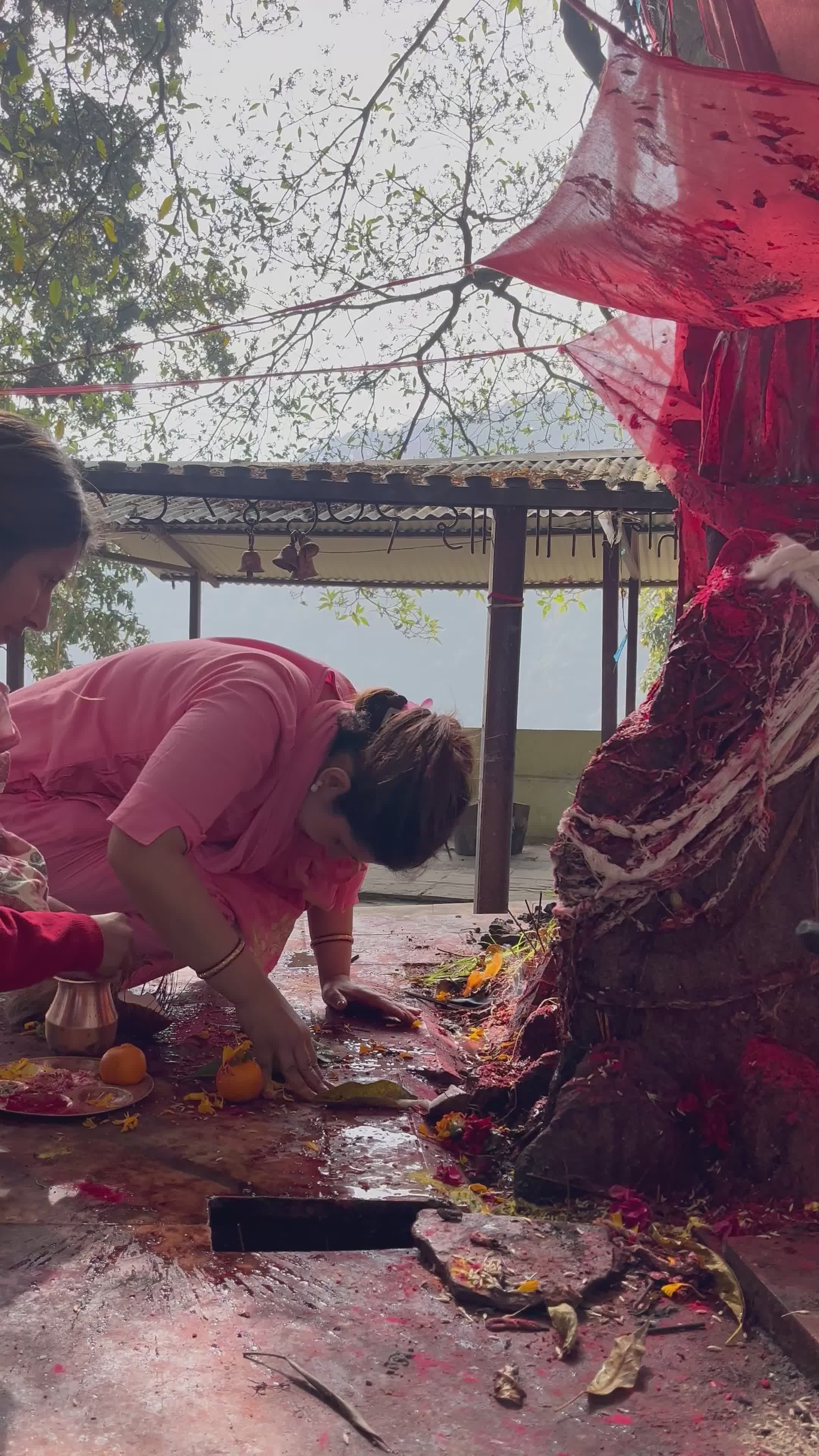 Cultural Ritual Near Sacred Tree Free Stock Video Footage, Royalty-Free ...