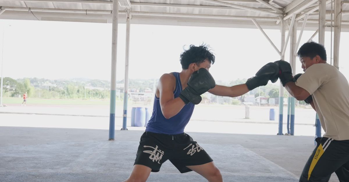 Boxing Outdoor Outdoor Boxing Training Session in Daylight Free Stock Video Footage ...