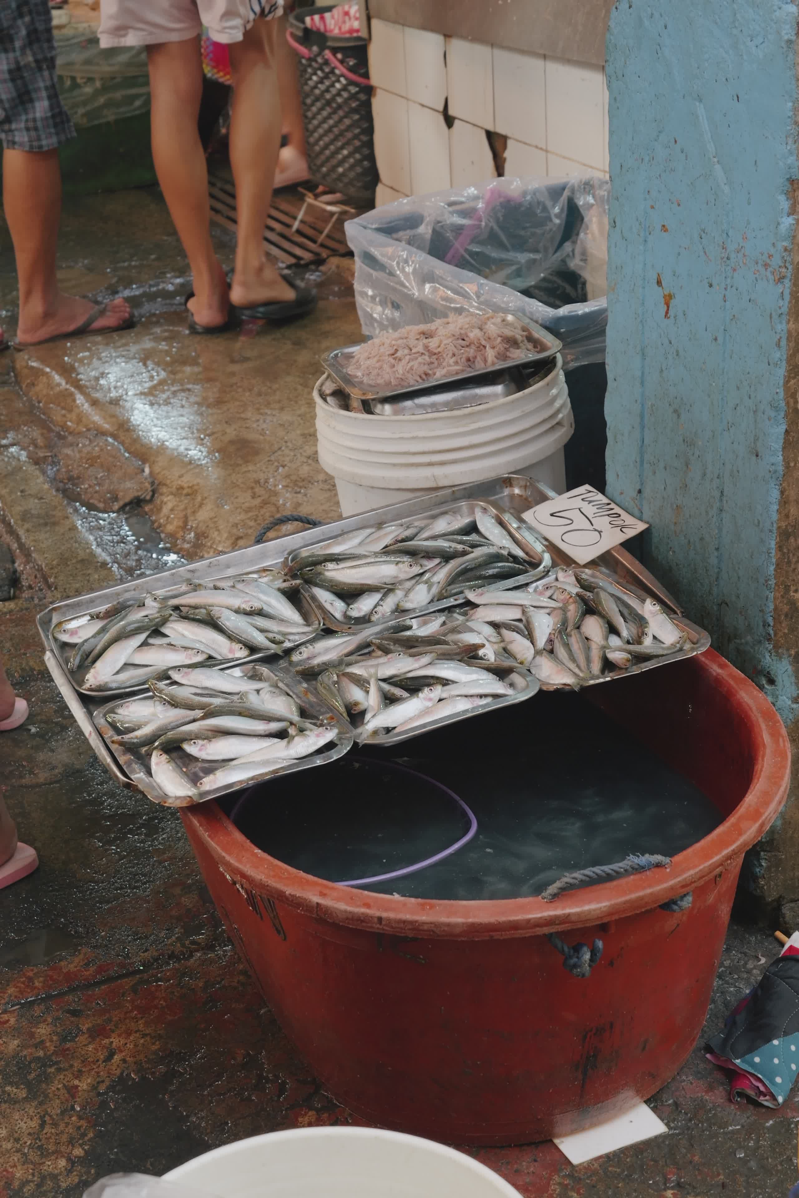 Vibrant Fish Market in Metro Manila Free Stock Video Footage, Royalty ...