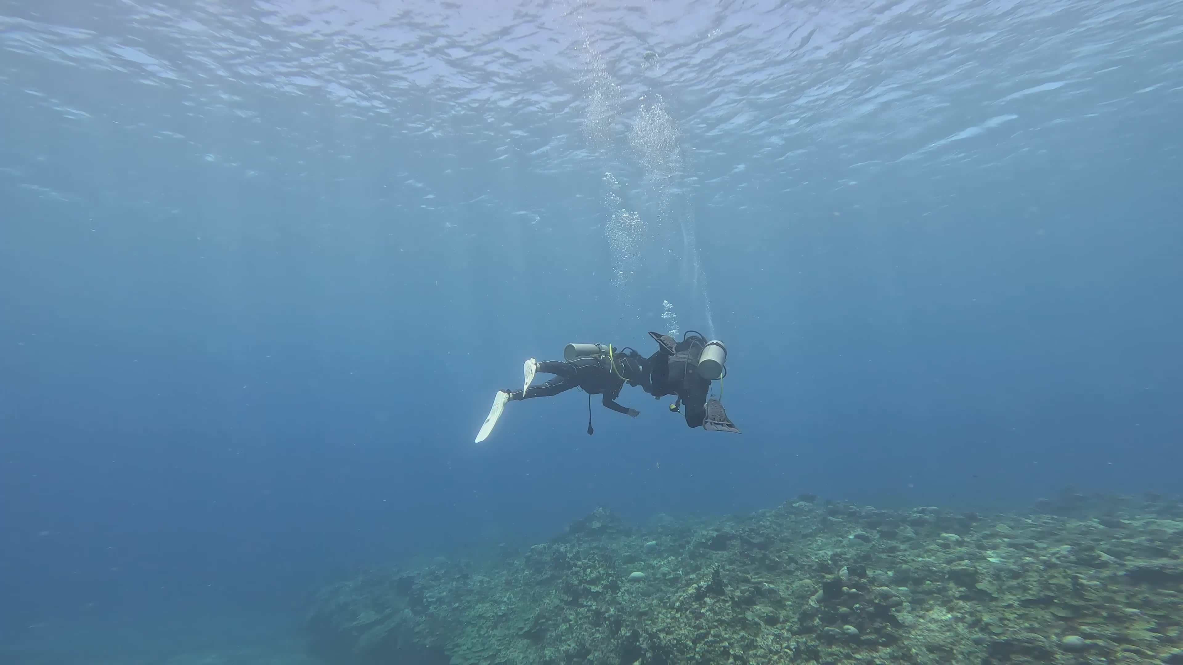 Scuba Diver Exploring Underwater Coral Reefs Free Stock Video Footage ...