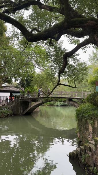 苏州园林下雨高清视频视频素材视频素材