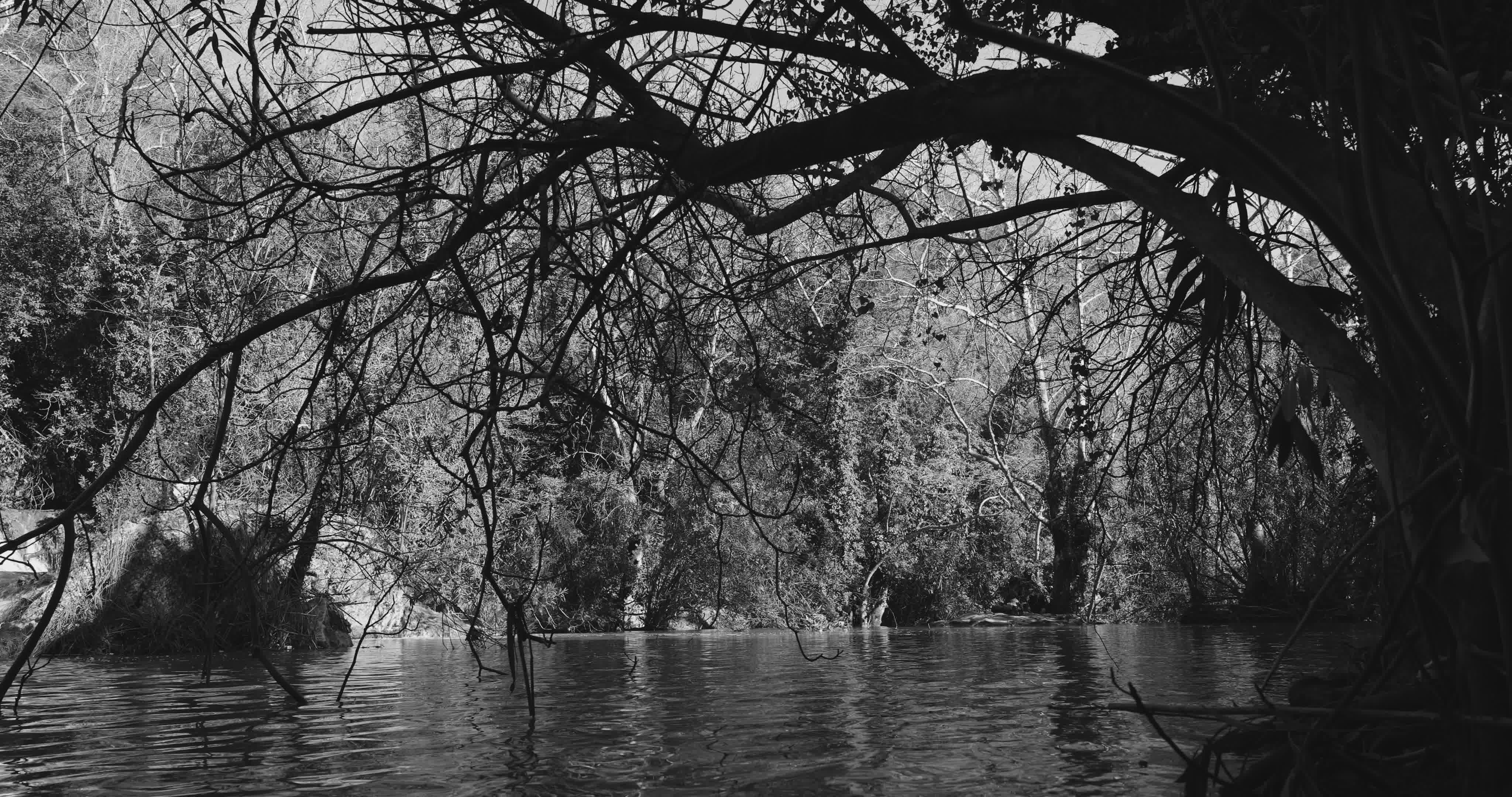 Video by Engin Akyurt