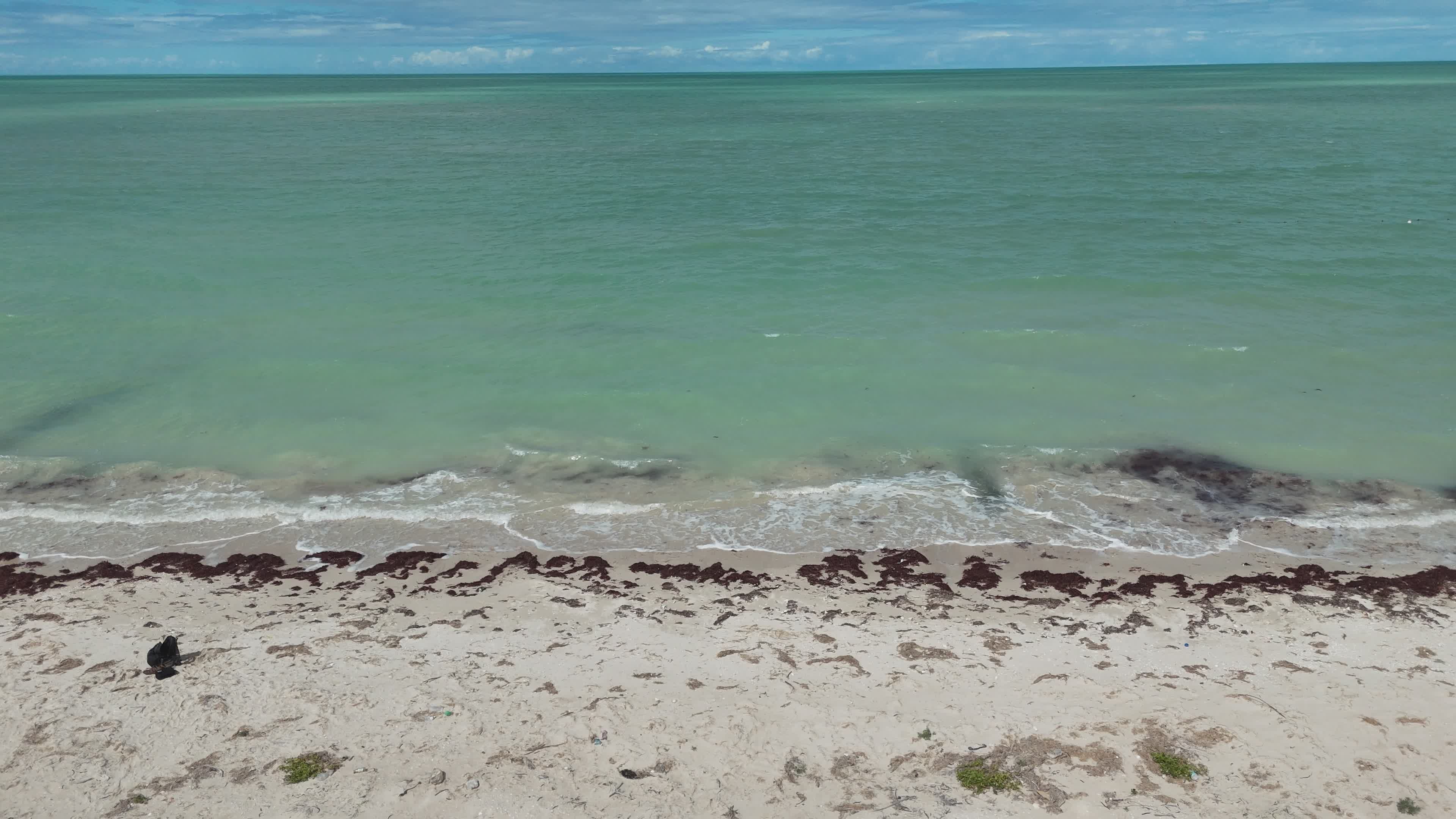 Serene Aerial View of Tranquil Beach Waves Free Stock Video Footage ...
