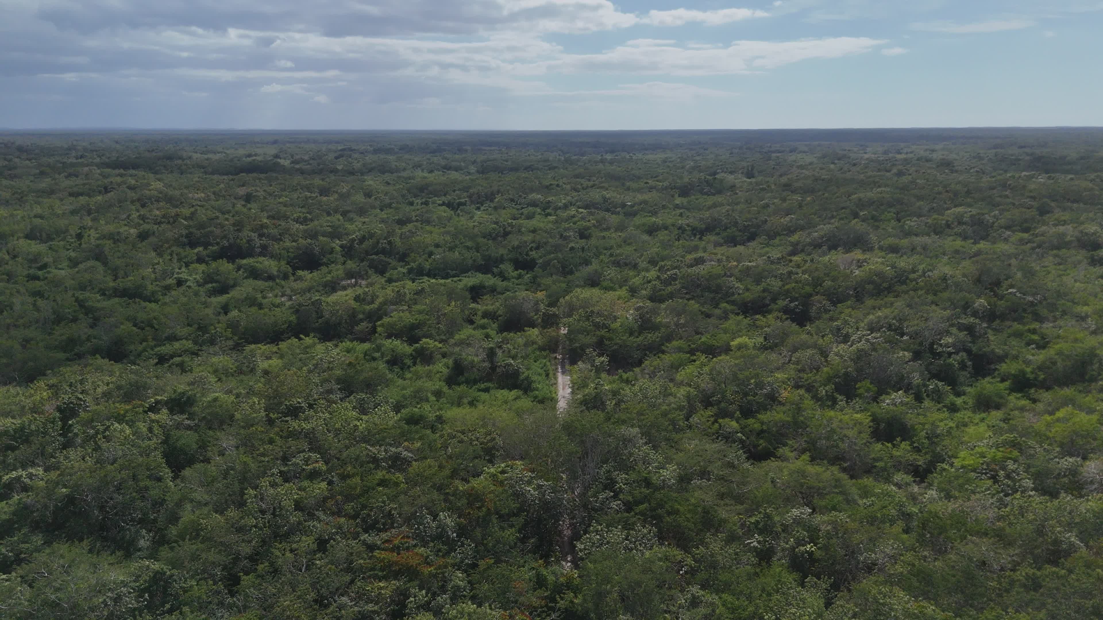 Scenic Aerial View of Lush Forest Landscape Free Stock Video Footage ...
