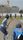 cricket videos