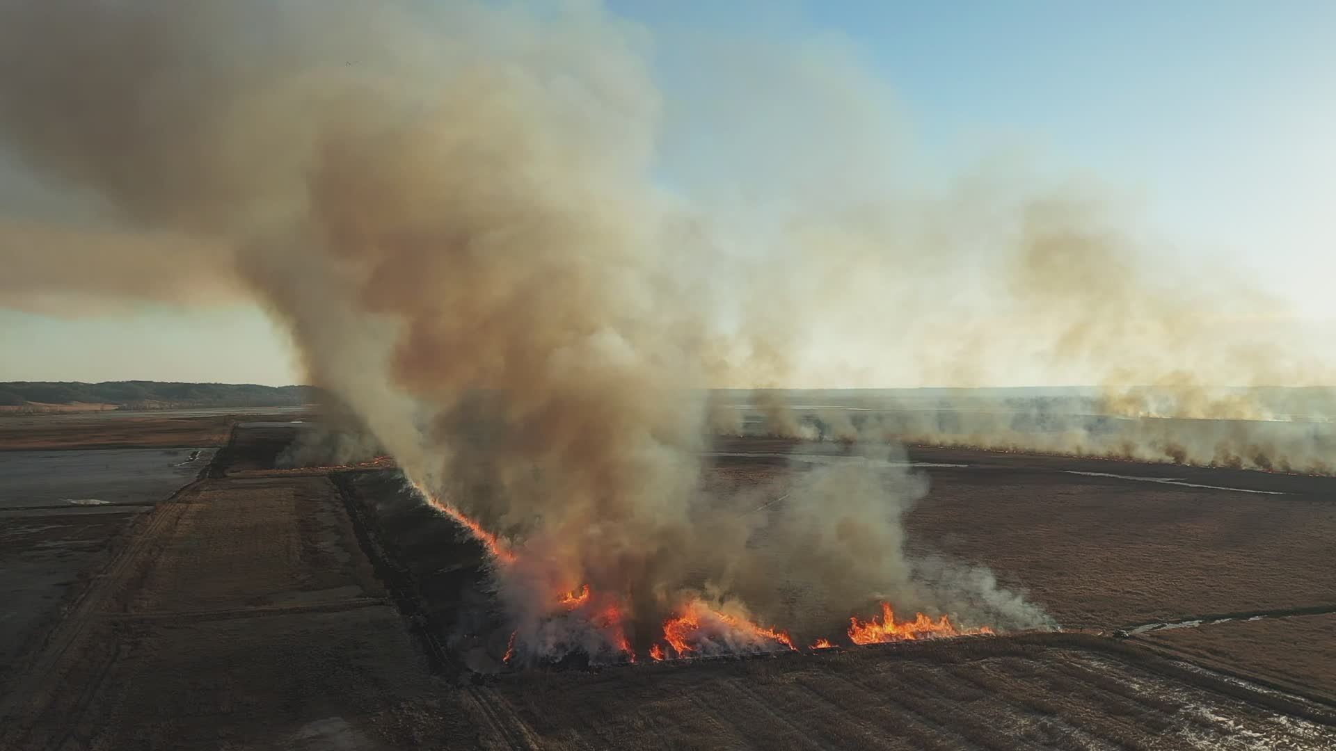 Aerial View of Agricultural Field Fire in Countryside Free Stock Video ...