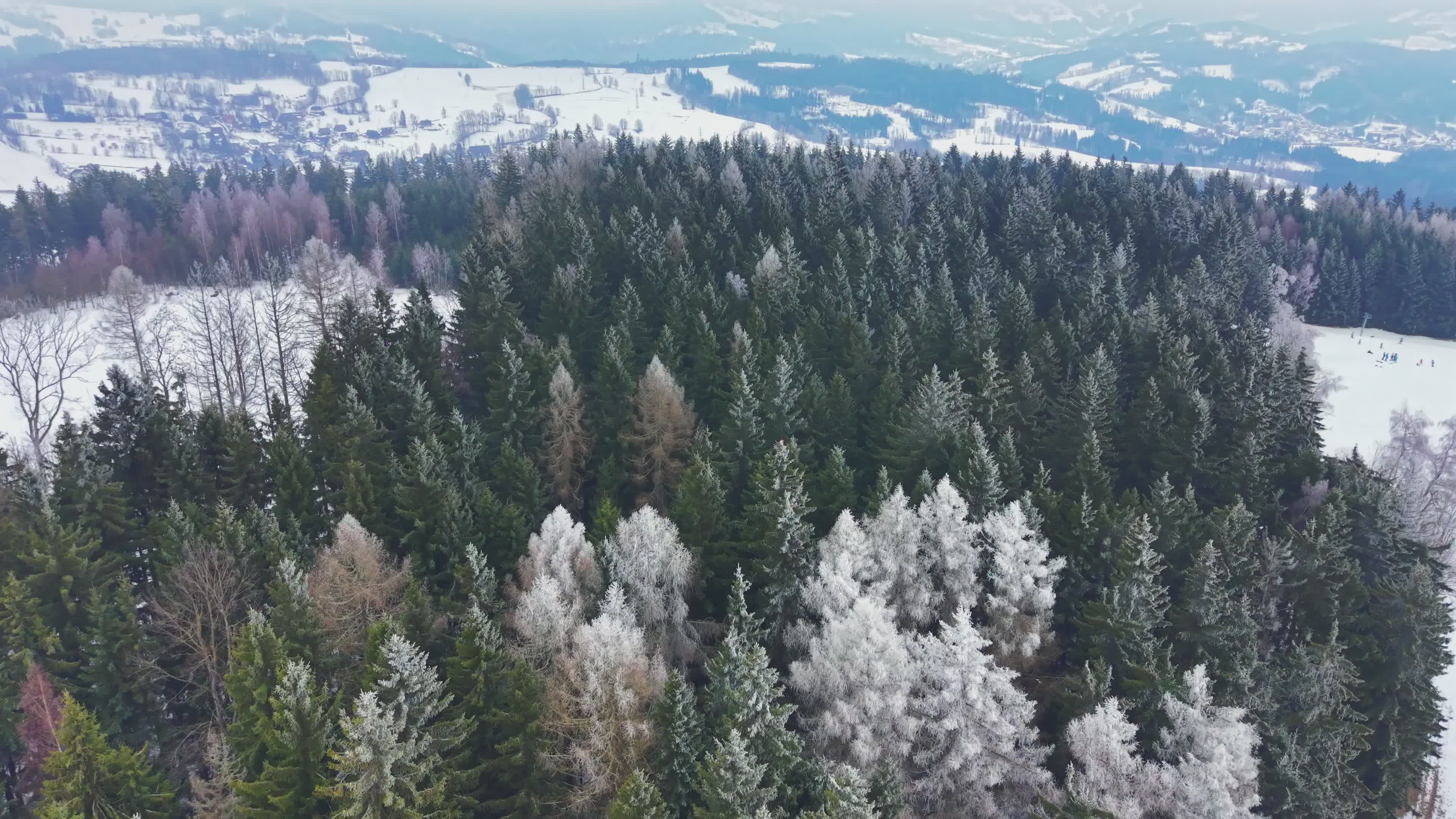Aerial View of Snowy Winter Forest Landscape Free Stock Video Footage ...