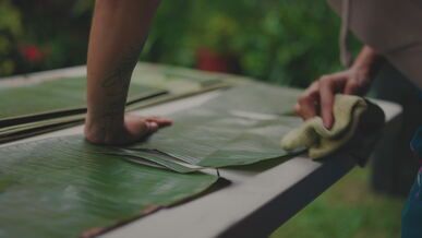 preparing banana leaves for traditional tamales