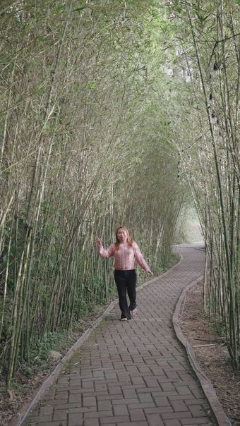 竹林走视频素材