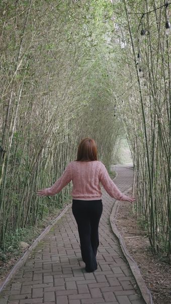 竹林走视频素材